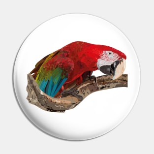 Red-and-green Macaw Pin