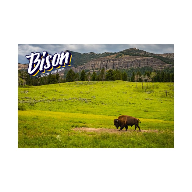 Bison at Yellowstone by Gestalt Imagery