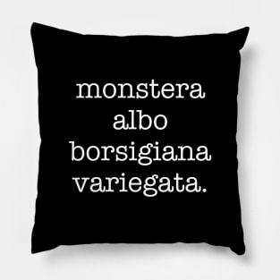 Monstera Albo Borsigiana Pillow