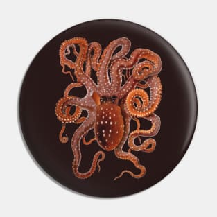 Vintage Octopus Macropus by Giacomo Merculiano Pin