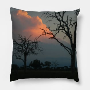 Pink Cloud in African Sky Pillow