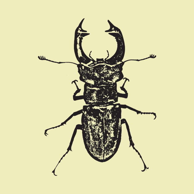 Stag beetle by Guardi