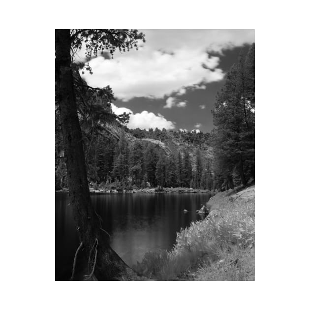 Ten Lakes Basin - Yosemite N.P. by rodneyj46