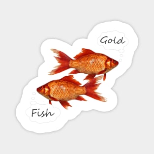 Gold Fish Swimming Magnet