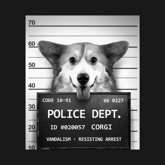 Corgi Mugshot by OogaBooga