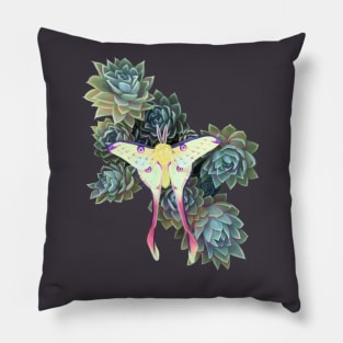 Comet moth on succulents Pillow