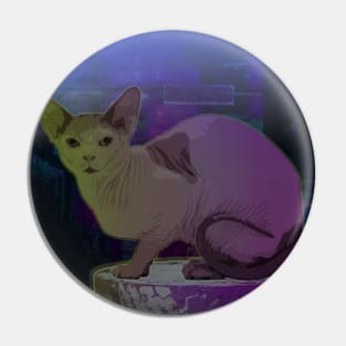 A sphynx cat under the night lights Pin