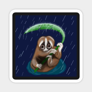 Slow Loris In the Rain Magnet