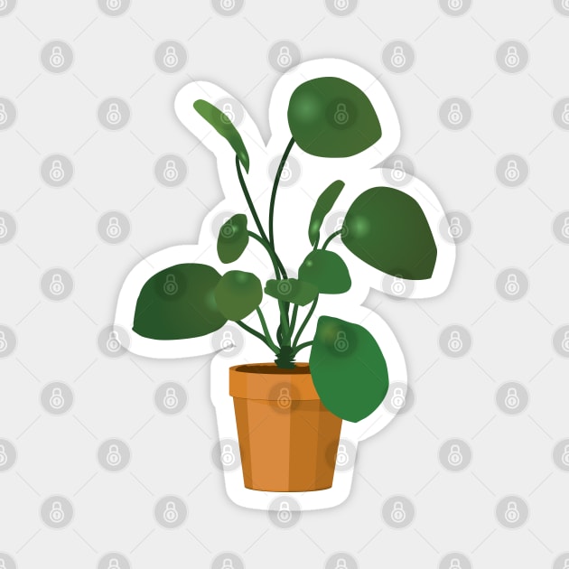 Chinese money plant Magnet by Bwiselizzy