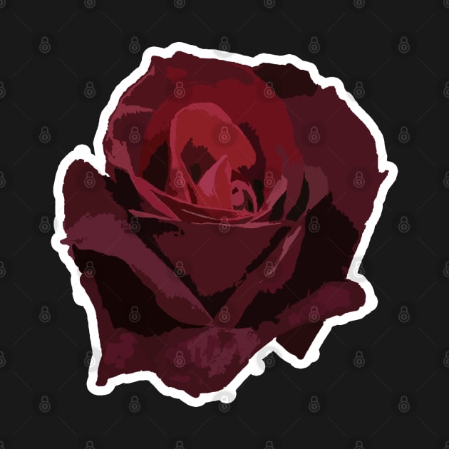 Rose heart (dark background) by pArt
