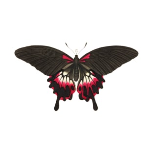 Black Butterfly T-Shirt