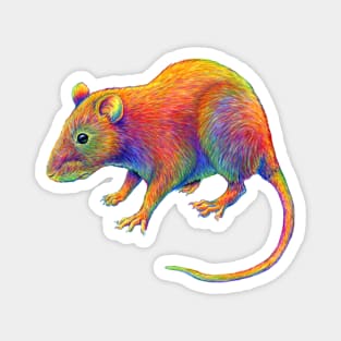 Psychedelic Rainbow Rat Magnet