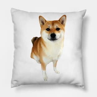 Lilly the Shiba Inu Sitting Down Pillow