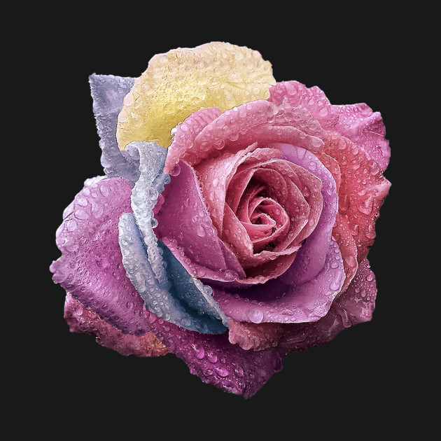 Purple Rose Abstract Art Flower Colorful Brush Painting Digital Art