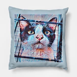 ART COLORS CAT BLUE SELFIE Pillow