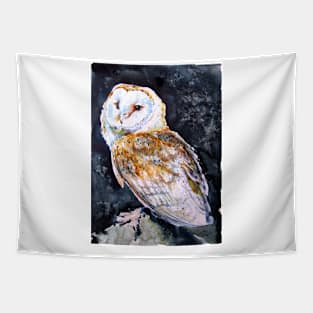 Barn owl at night Tapestry