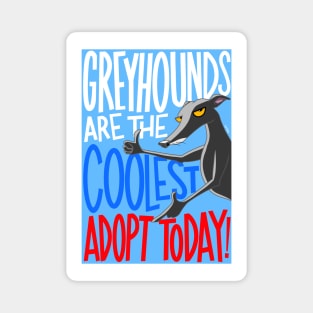Cool Greyhounds Magnet