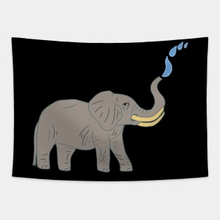 Elephant Water Splash Tapestry