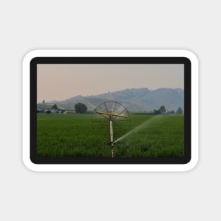 Irrigating Fields on a Summer Evening Magnet