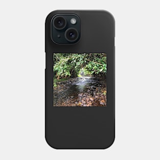 Quiet Mountain Stream Phone Case