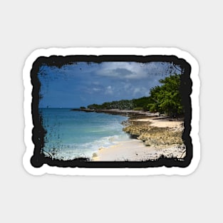 Aruba Eagle Beach Magnet