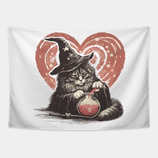 Maine coon wizard of love Tapestry