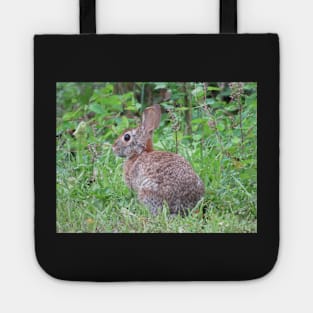 Mr. Rabbit Tote