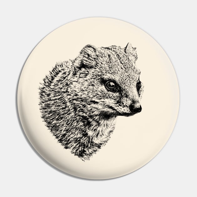 Yellow mongoose Pin by Guardi