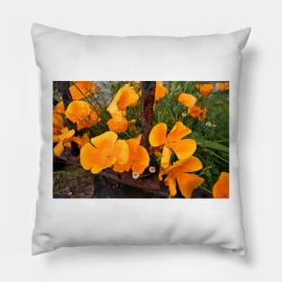 California Poppies behind bars Pillow