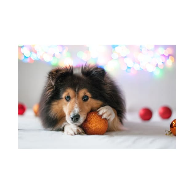 Sheltie with Christmas Bulb by kawaii_shop