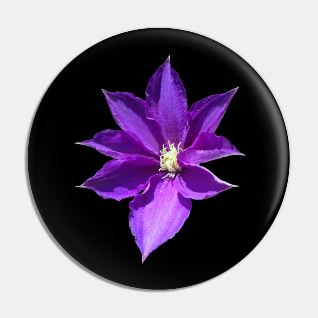 Purple Clematis Flower Pin by Moonlit Midnight Arts