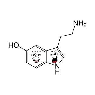 Serotonin Smile T-Shirt