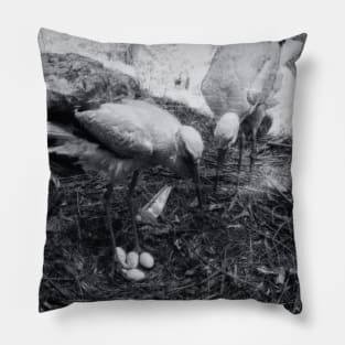 Expecting Nest Pillow