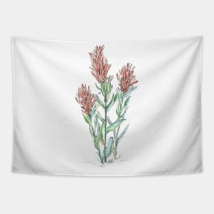 Indian paintbrush wild flowers Tapestry