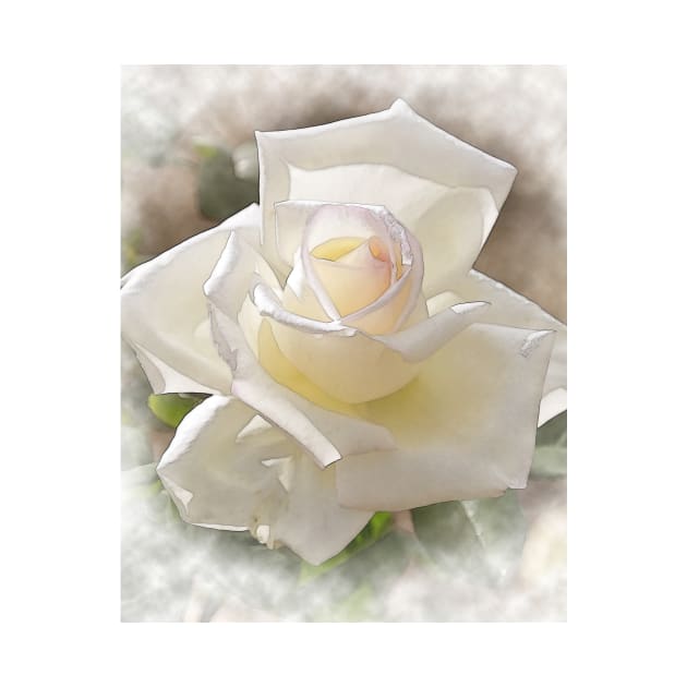 White Rose Bloom In Watercolor by KirtTisdale