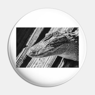 black and white alligator Pin