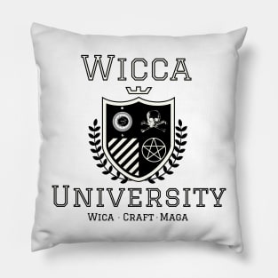 Wicca University sweatshirt, Dark Aesthetic, Goth clothing, plus size wicca art, custom top, Alt clothing, Witch sweatshirt, witch fashion Pillow