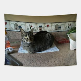 What You Mean It’s Not For Sits Tapestry