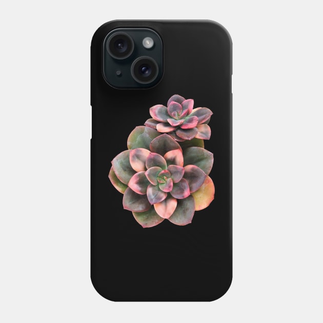 Sculentas Echeveria Croma Phone Case by NerdsbyLeo