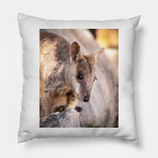 Rock Wallaby Pillow