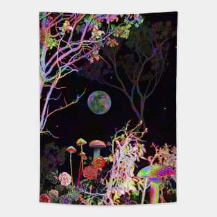 Colorful Night Tapestry