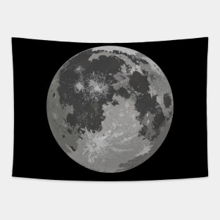 Moon Tapestry