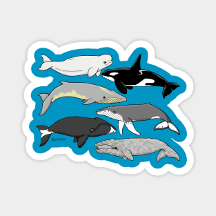 Whales of Alaska Magnet