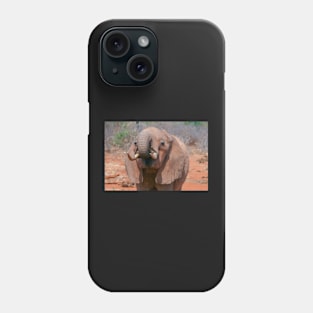 Elephant Feeding Phone Case