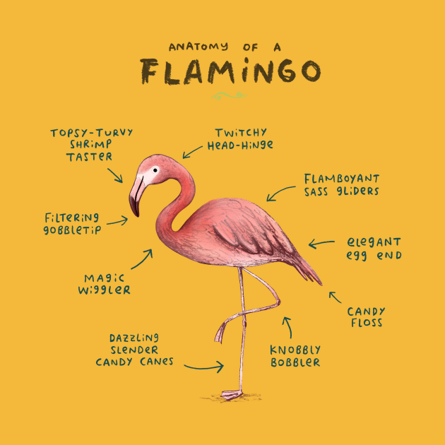 Anatomy of a Flamingo Flamingo Long Sleeve TShirt TeePublic