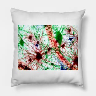 Brain cells, illustration (F013/1488) Pillow