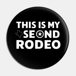 This is my second rodeo v3 Pin