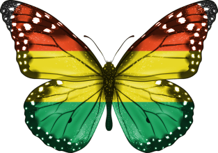 Bolivian Flag  Butterfly - Gift for Bolivian From Bolivia Magnet