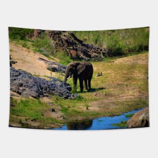 Young Elephant on the Crocodile River Tapestry