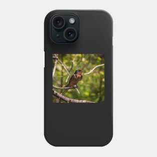 Barn Swallow Singing in a Tree Phone Case